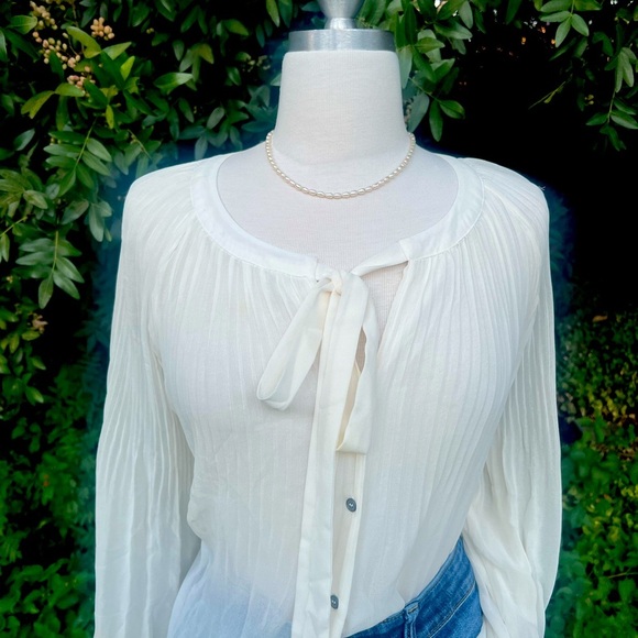 Lane Bryant Sheer Cream Button Down Blouse - Picture 2 of 6